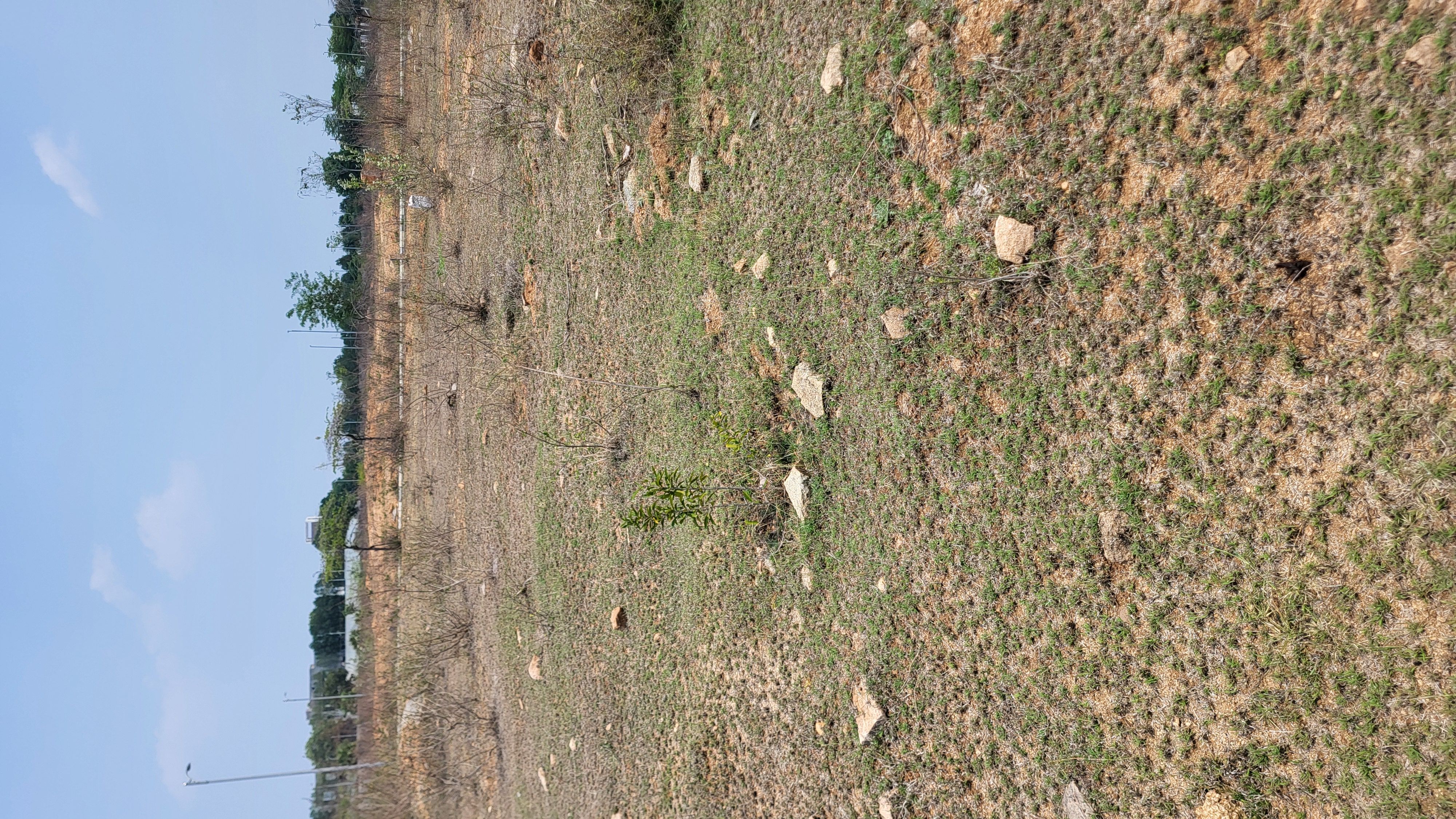 Residential Plot for sale in Ibrahimpatnam