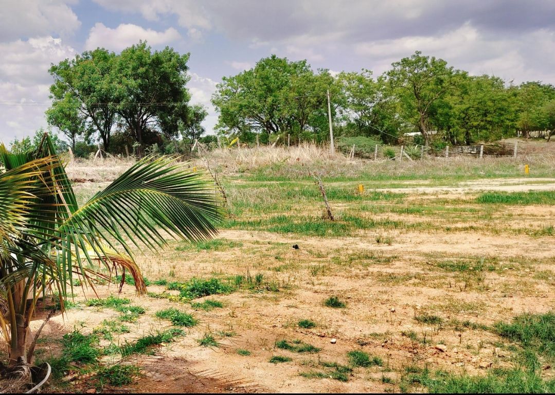 Residential Plot for sale in Kodicherla