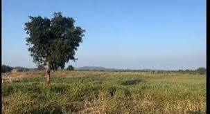 Residential Plot for sale in Siddipet