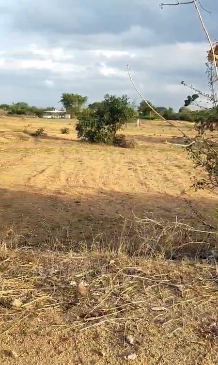 Agricultural land for sale in Masigundlapalle