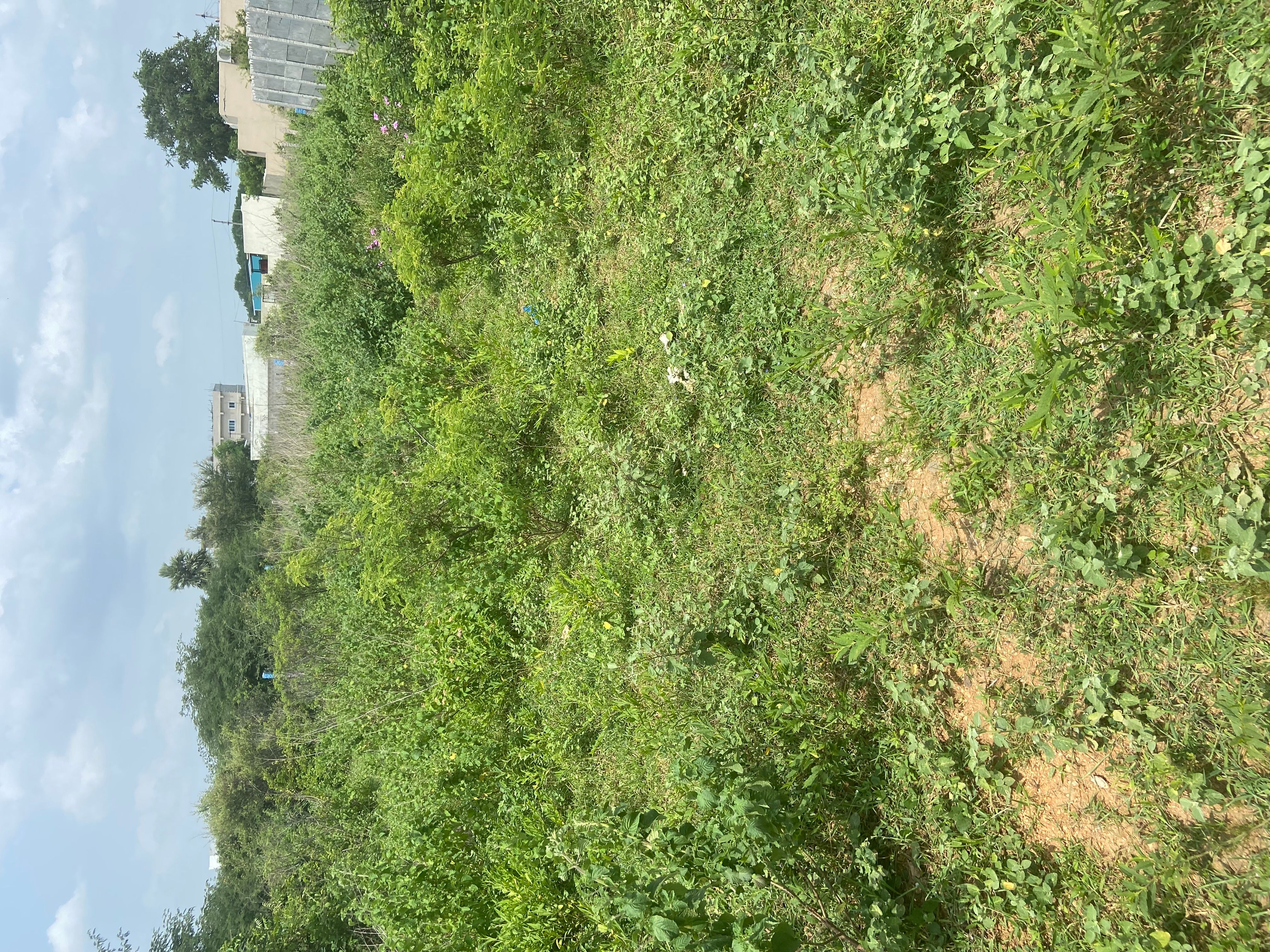 Residential Plot for sale in Aushapur