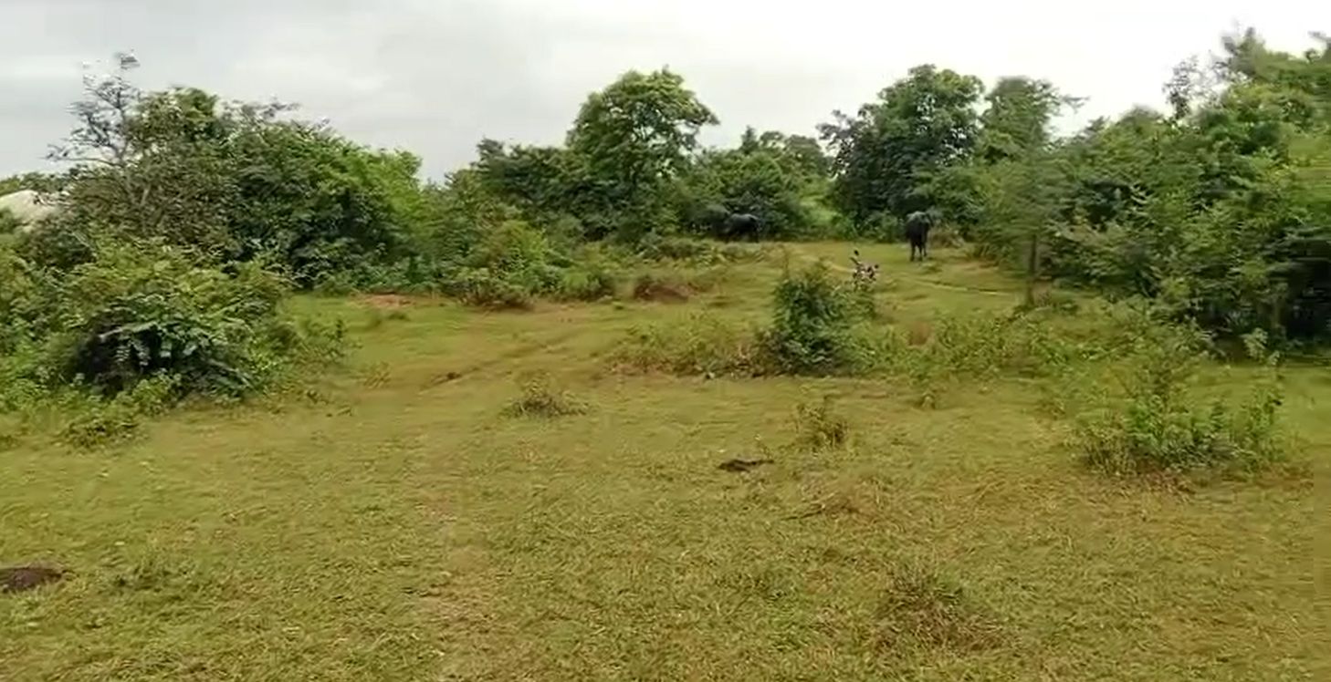Agricultural land for sale in Gandiramaram